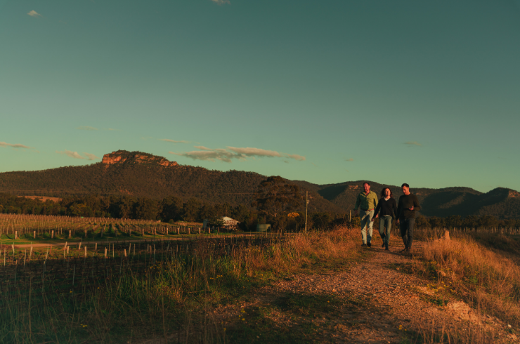Winery landscape in Broke Fordwich Hunter Valley 